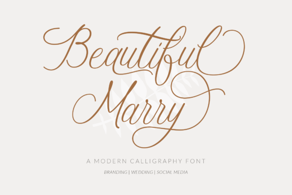 Beautiful Marry: A Romantic Script Font for Web Design