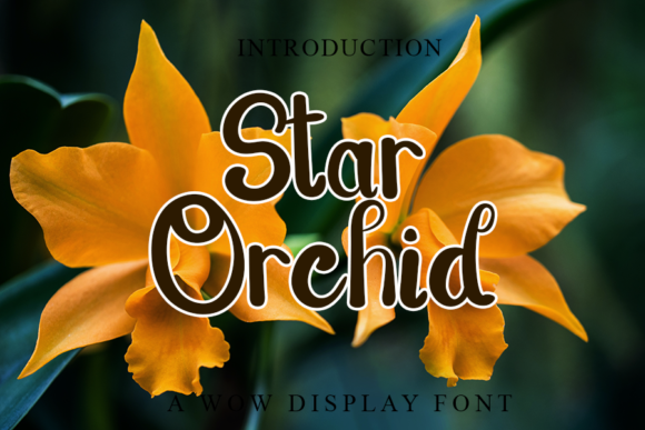 Star Orchid: A Chic Handwritten Font for Branding